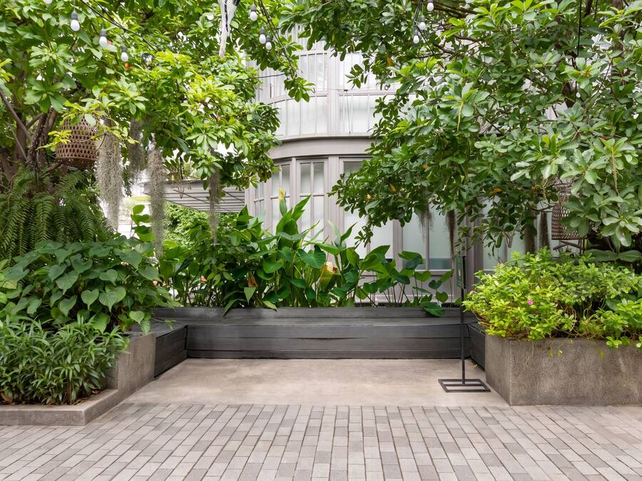 Un patio empedrado con un banco, rodeado de abundante vegetación y un edificio al fondo.