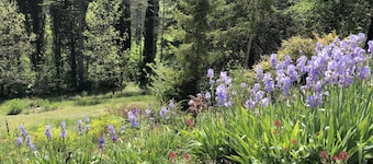 Country house****, for nature, tranquillity and well-being! 