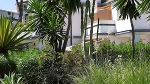 Un bâtiment moderne à la façade blanche et aux grandes fenêtres, entouré d’une végétation luxuriante et de grands cactus.