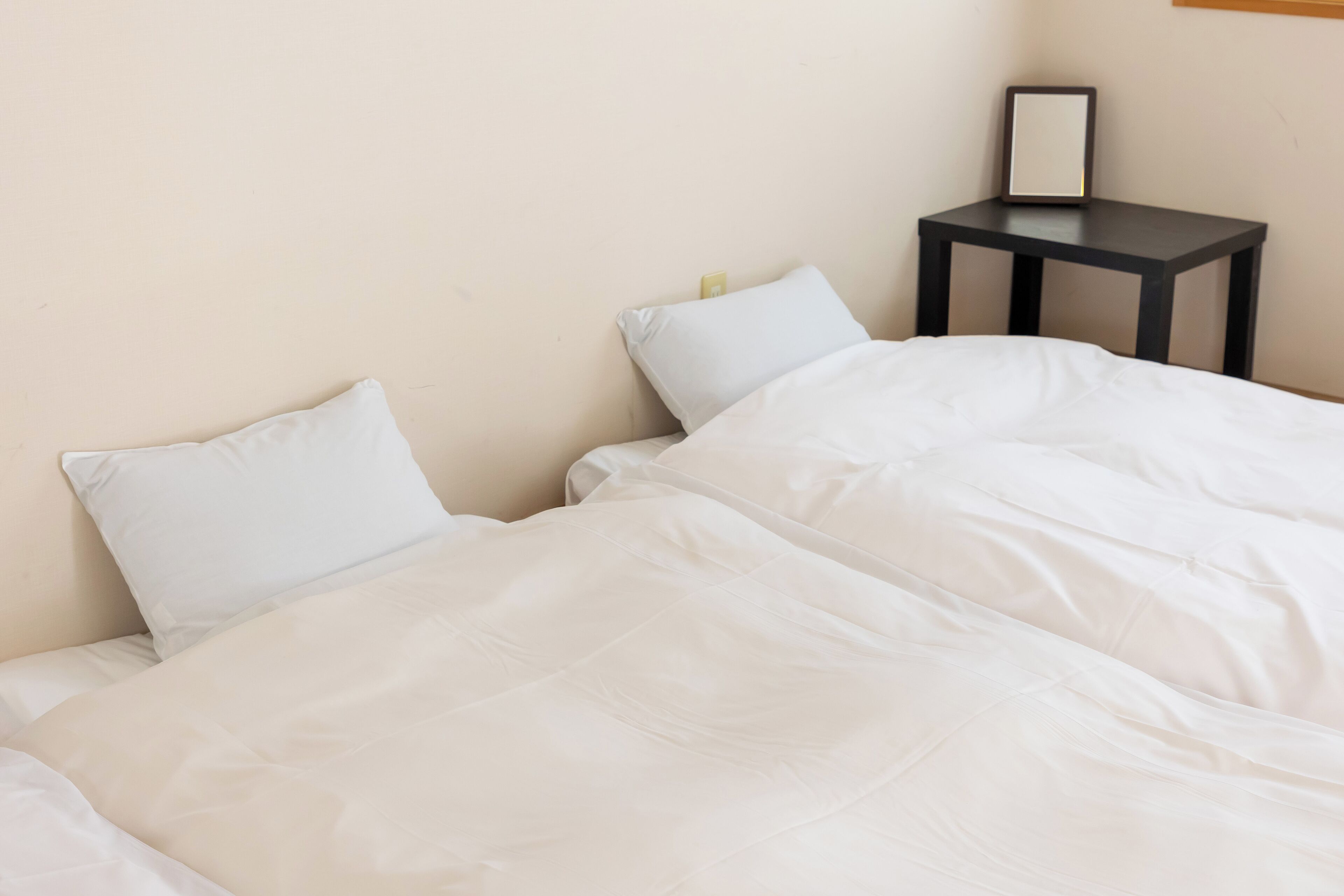 Japanese Style Room for 2 people, Non Smoking | Blackout drapes, free WiFi, bed sheets