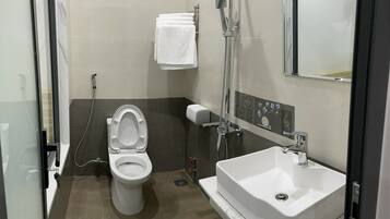 A bathroom with a toilet, a sink, and a shower.
