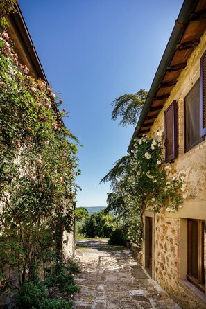 A narrow stone pathway flanked by buildings with stone walls and wooden shutters, leading to a view of the landscape.