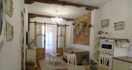 Nice apartment in the Casco Viejo of bilbao