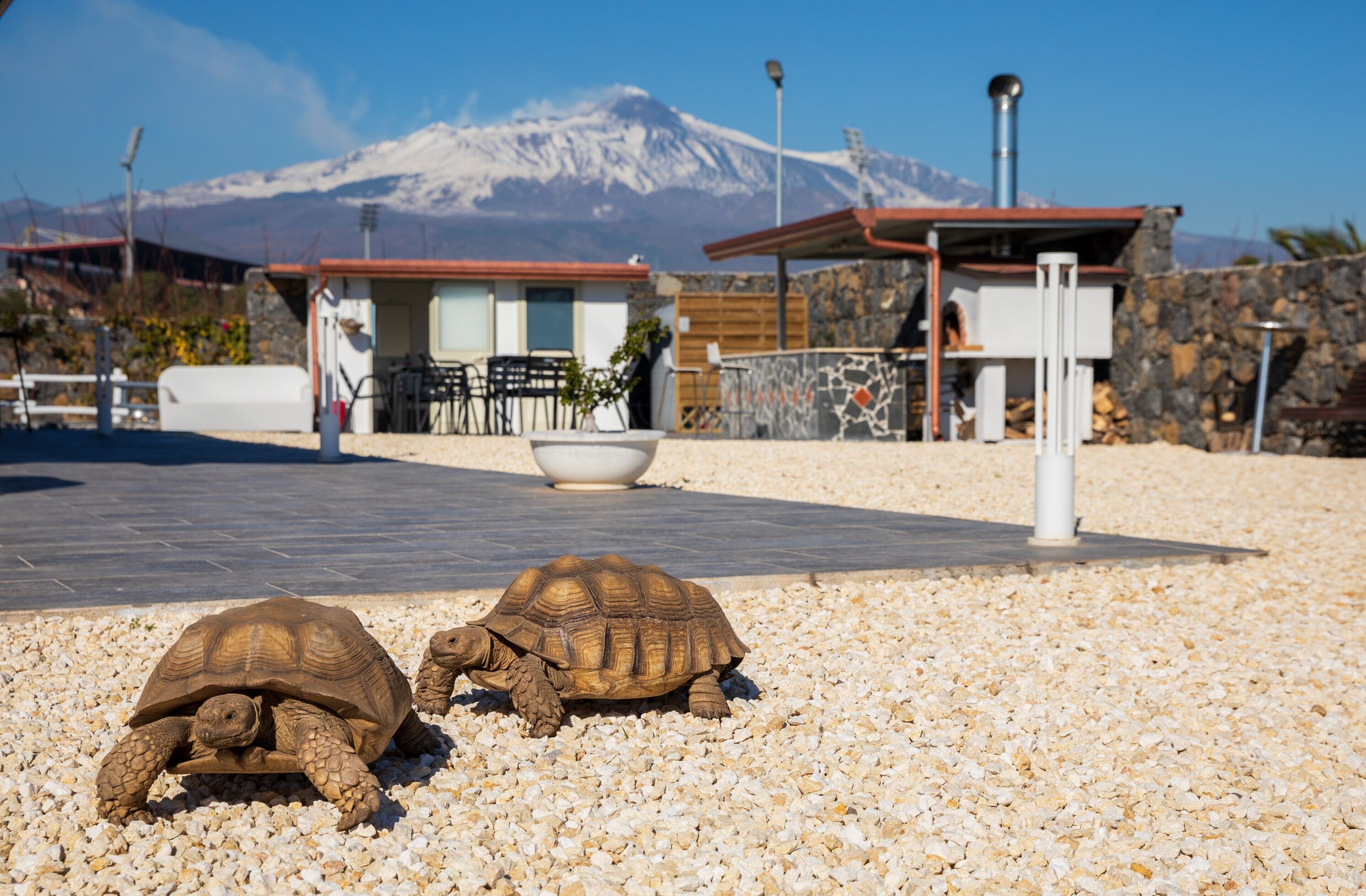 Parco della struttura