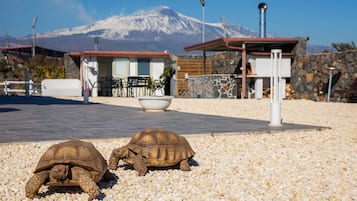 Parco della struttura