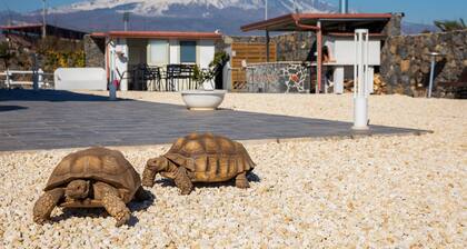 Ferienwohnung Villa Paradiso mit Meerblick, Pool und WLAN