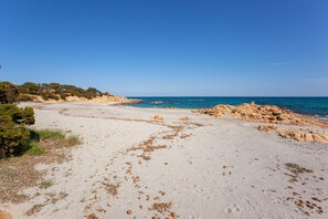 Playa en los alrededores 