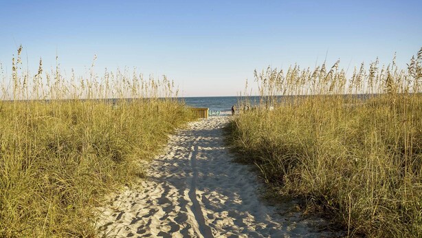 A sandy path leading to a beach with tall grasses on either side. - Oceanfront Hilton Head Island Condo w/ Pool! (Hilton Head Island)