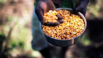 Alimentação e bebidas