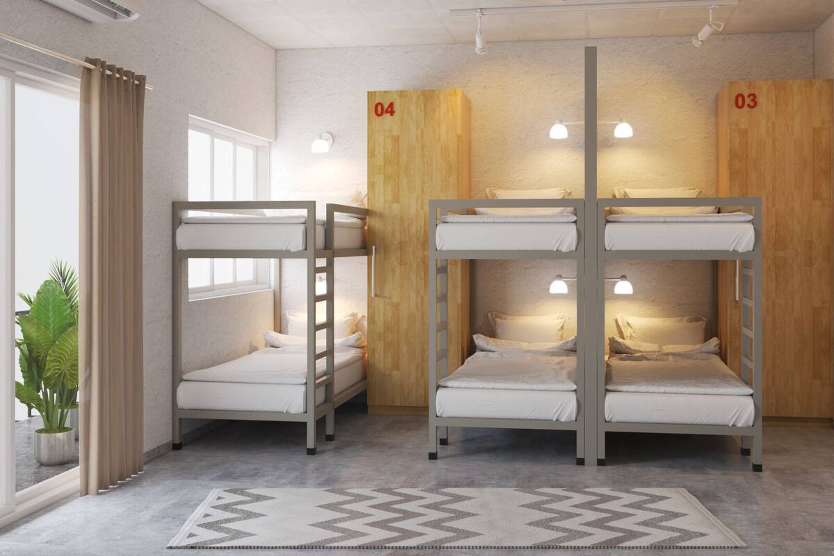 A room with bunk beds, a ceiling fan, and a potted plant.