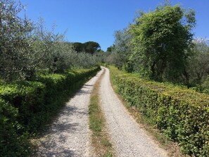 Property grounds - Fully renovated and modernized Villa ready summer 2024 (Loc. Mercatale, San Casciano Val de Pesa)