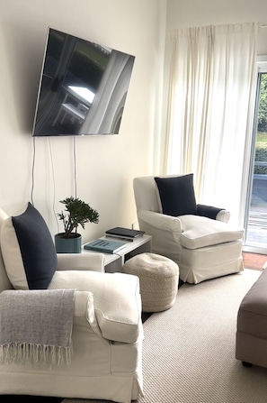 Smart TV, fireplace, Netflix, books