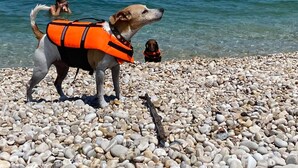 Leilighet | Strand