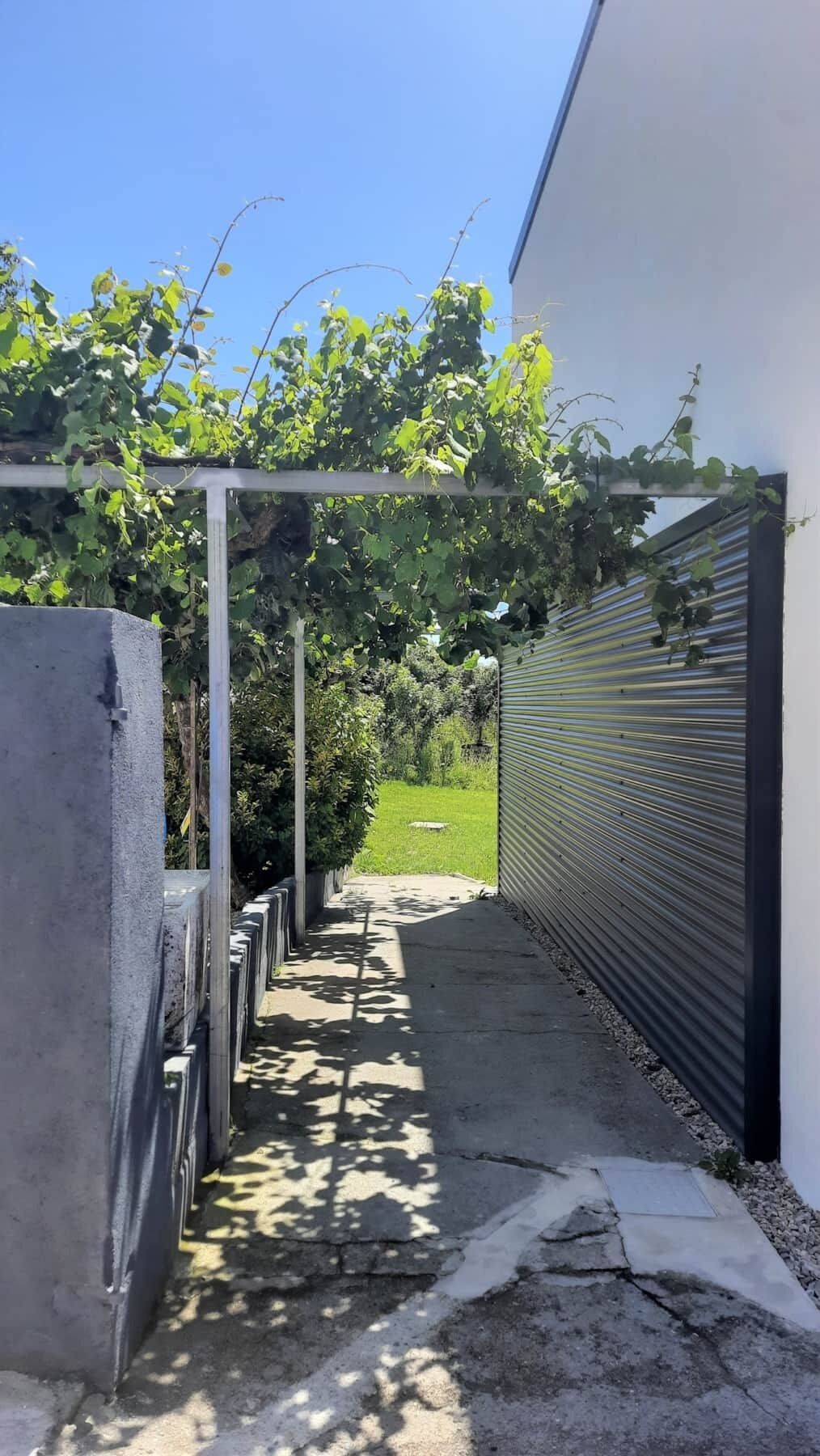 Un estrecho sendero de concreto que conduce a un edificio moderno con una cerca metálica y un jardín arbolado.