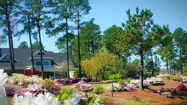 A residential property with a house, surrounded by a well-maintained garden with flowering plants and tall trees.