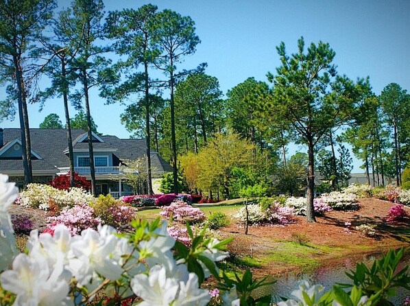 Condo, 1 Bedroom | Property grounds