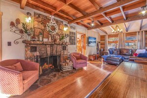 Smart TV, fireplace, books, music library