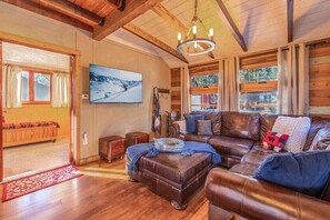 Smart TV, fireplace, books, music library