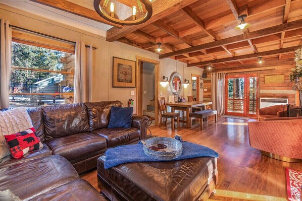 Smart TV, fireplace, books, music library