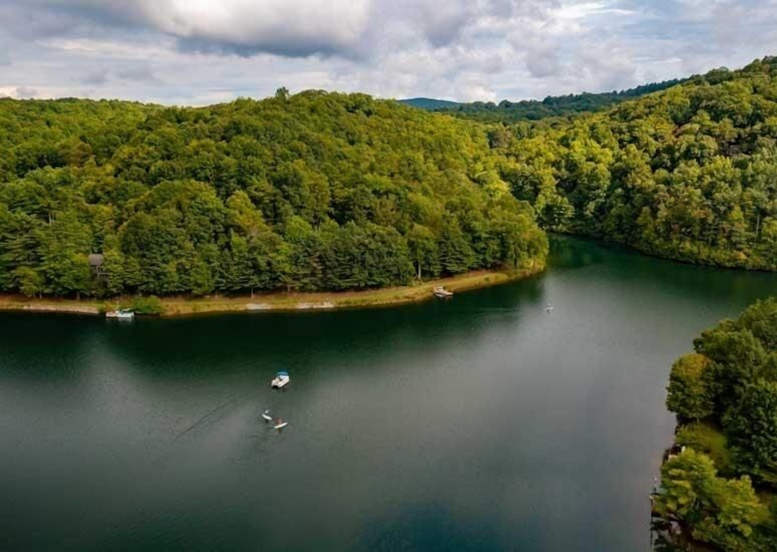 Log Cabin near Brevard with lakes, private trails and super fast wifi