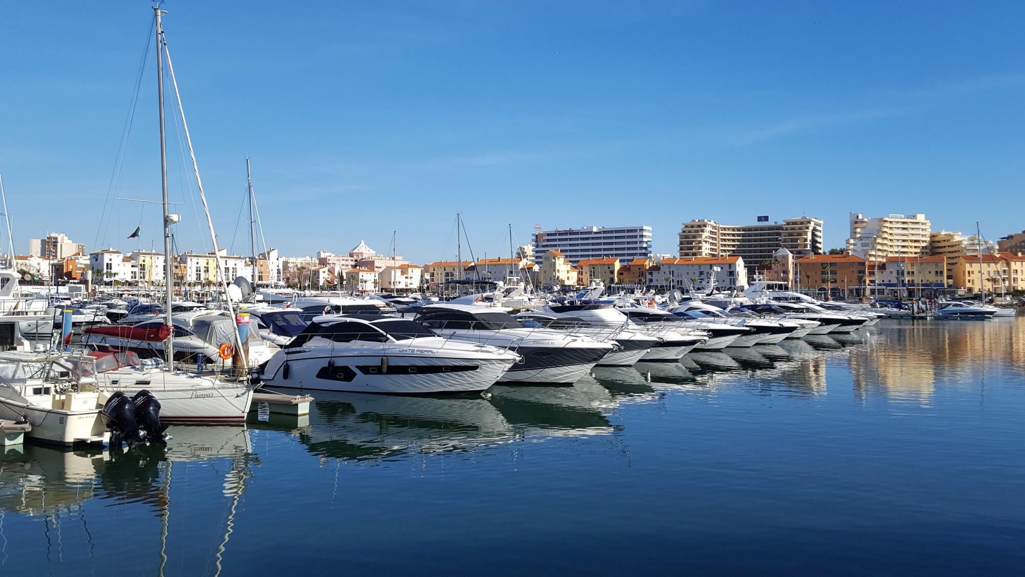 A marina with multiple yachts docked, a clear sky, and buildings in the background.