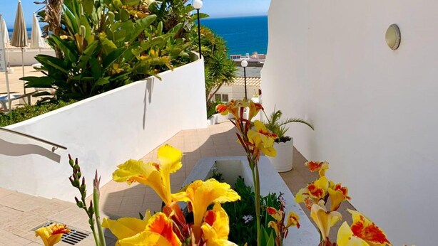 Eine Dachterrasse mit gelben Blumen, Blick auf das Meer und ein weißes Gebäude.