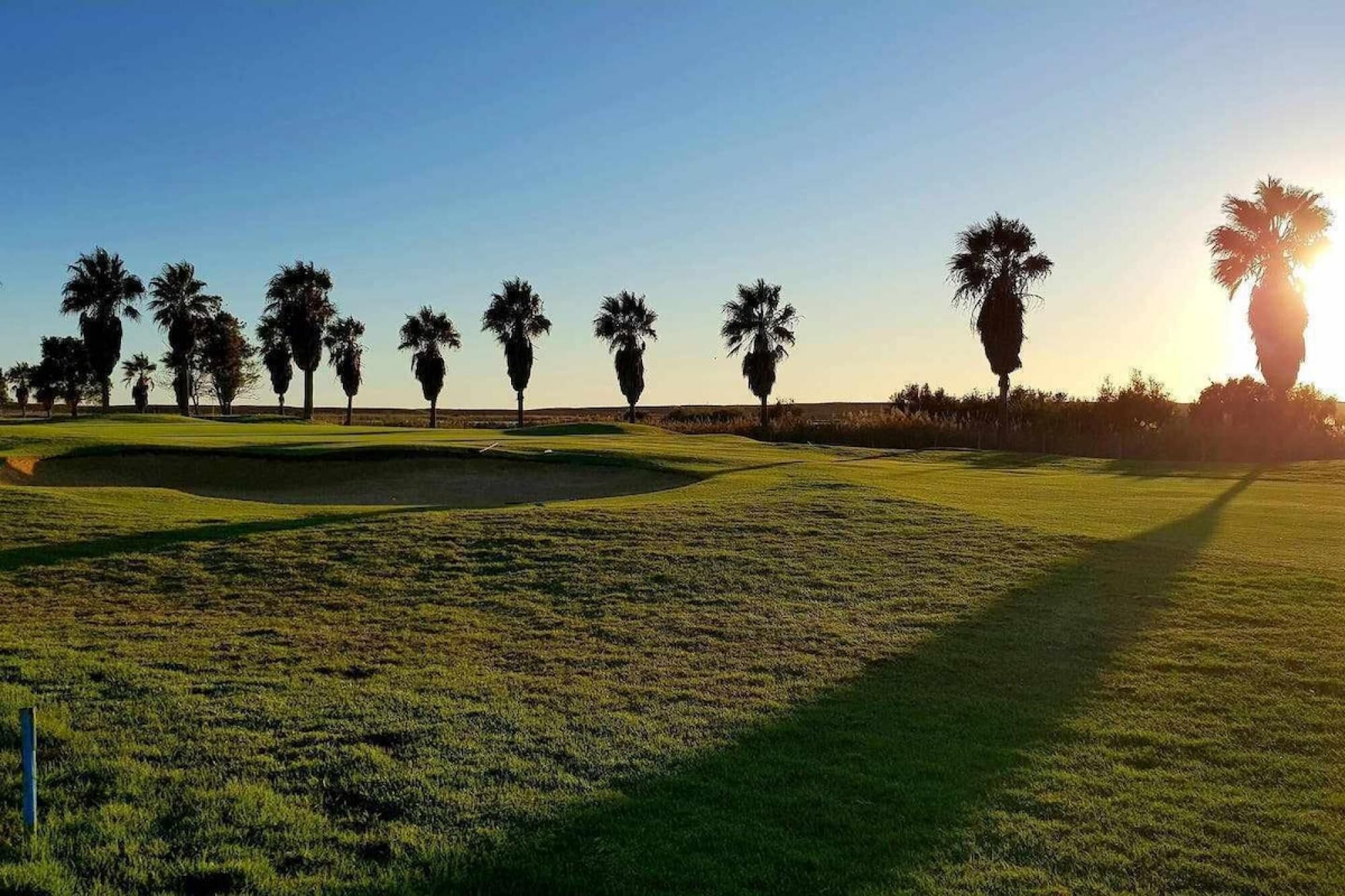 A golf course with a clear sky, palm trees, and a sun setting in the background.