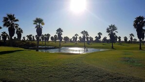 Un parcours de golf avec un étang, des palmiers et un ciel dégagé.