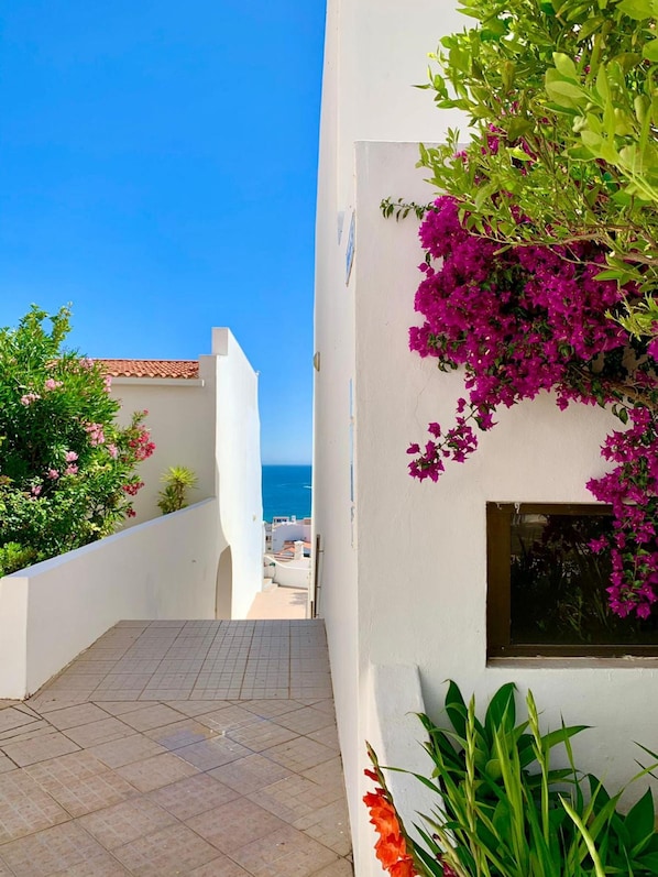 Apartment | 1 Schlafzimmer