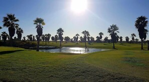 Apartment | 1 bedroom