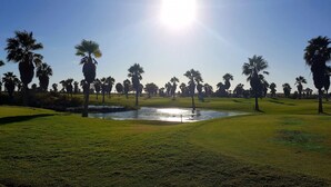 Ein Golfplatz mit Teich, Palmen und blauem Himmel.