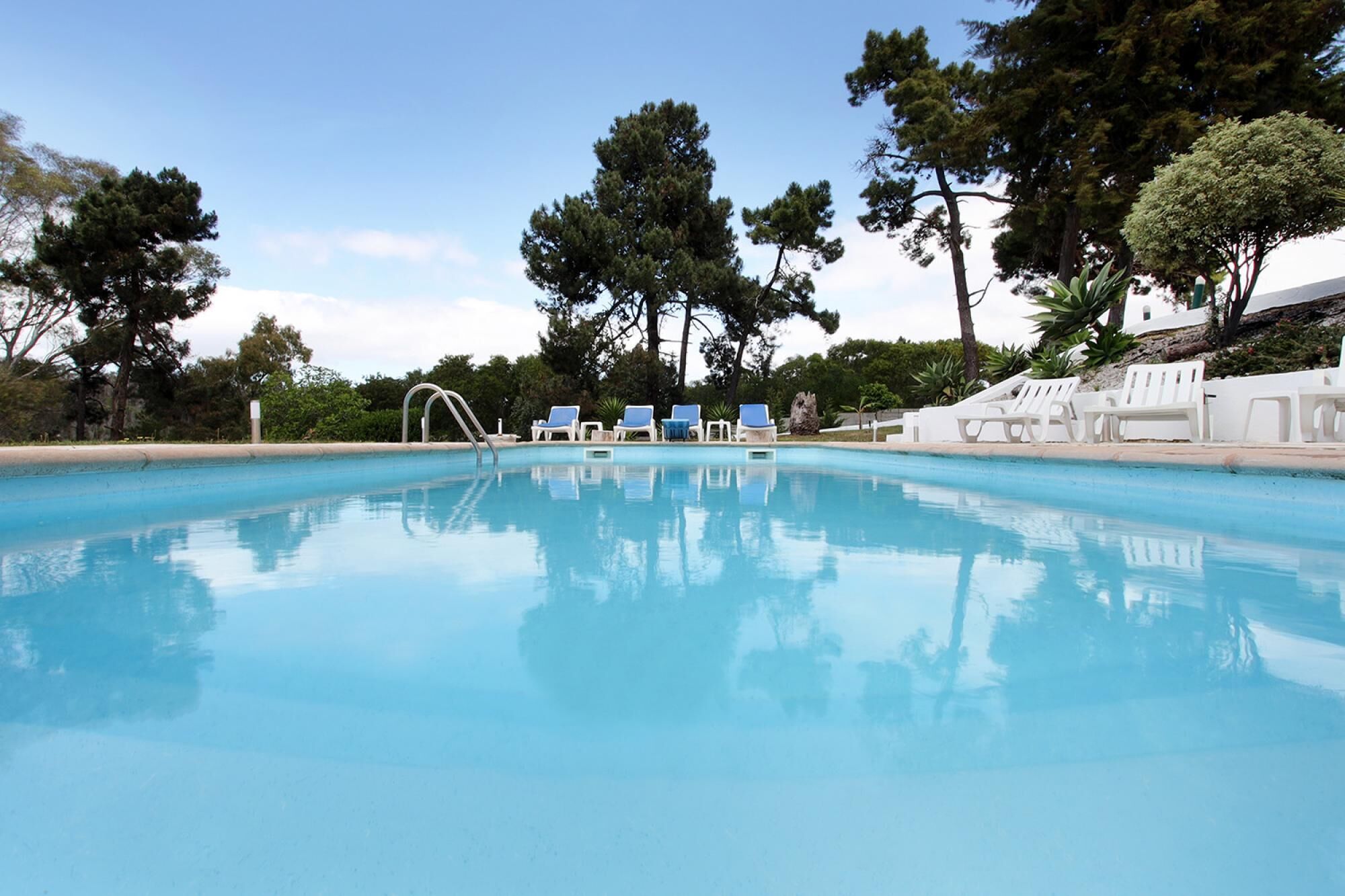 Una piscina limpia con una escalera metálica, rodeada de sillas reclinables blancas y árboles.