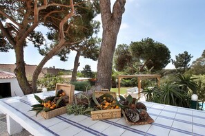 Villa | 4 bedrooms - Farm on the Beach sea View 2 Steps From Lisbon (Almada)