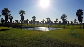 Apartament | 2 dormitoris 