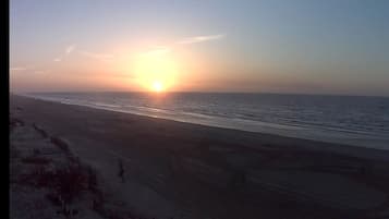 Playa en los alrededores, camastros y toallas de playa