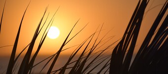 Pineapple House - Fishing Paradise! Gated, Pet Friendly, Secluded