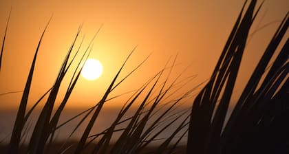 Pineapple House - Fishing Paradise! Gated, Pet Friendly, Secluded