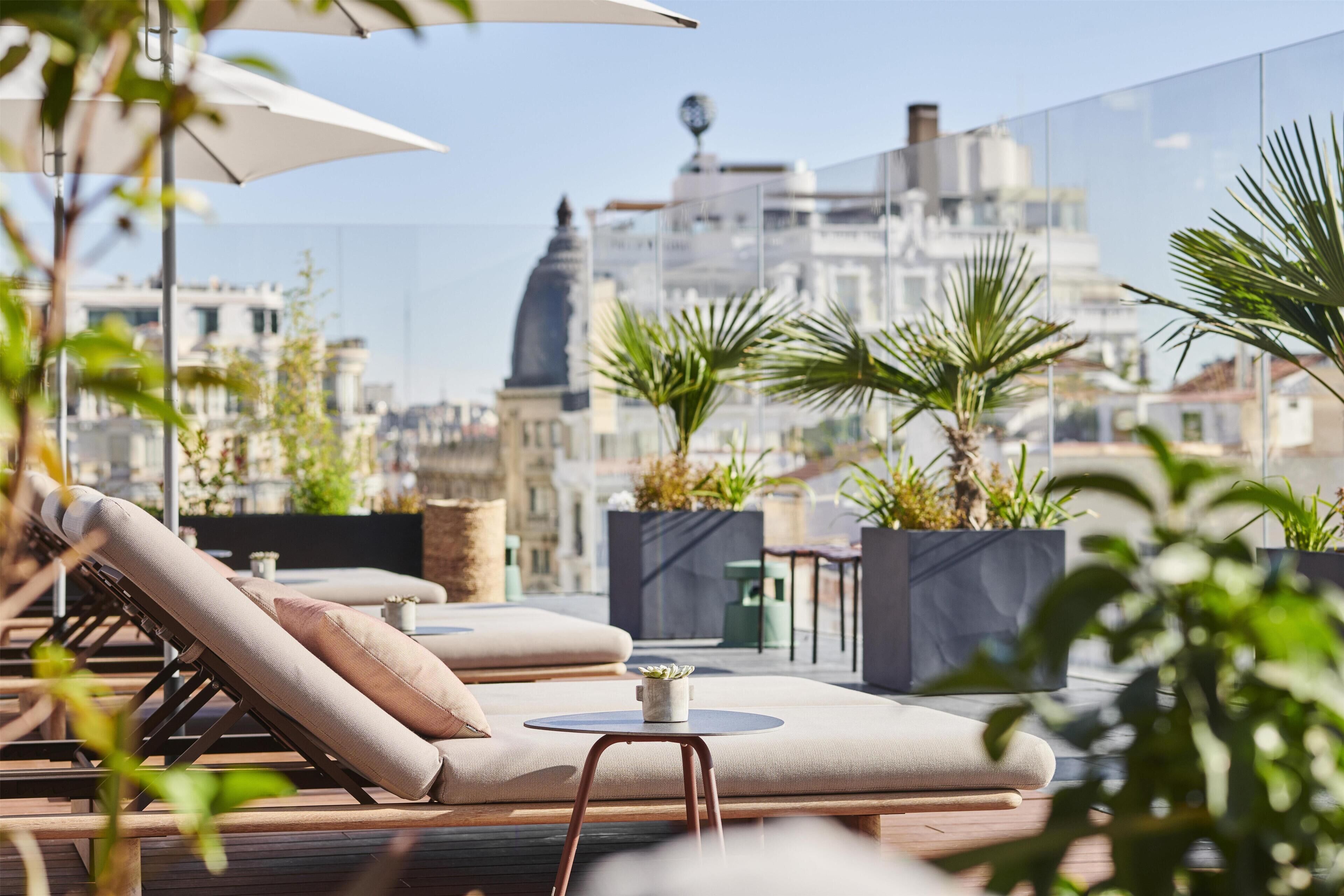 A rooftop lounge with sun loungers, potted plants, and a cityscape view.