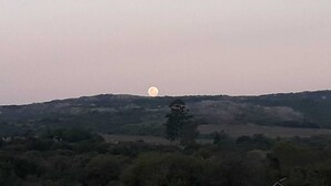 Et landskab med en bakke og en tydelig måne på himlen.