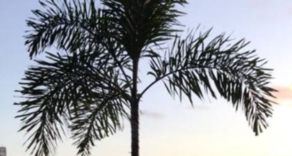 beyond Chic 3 bedroom condominium with the Pool