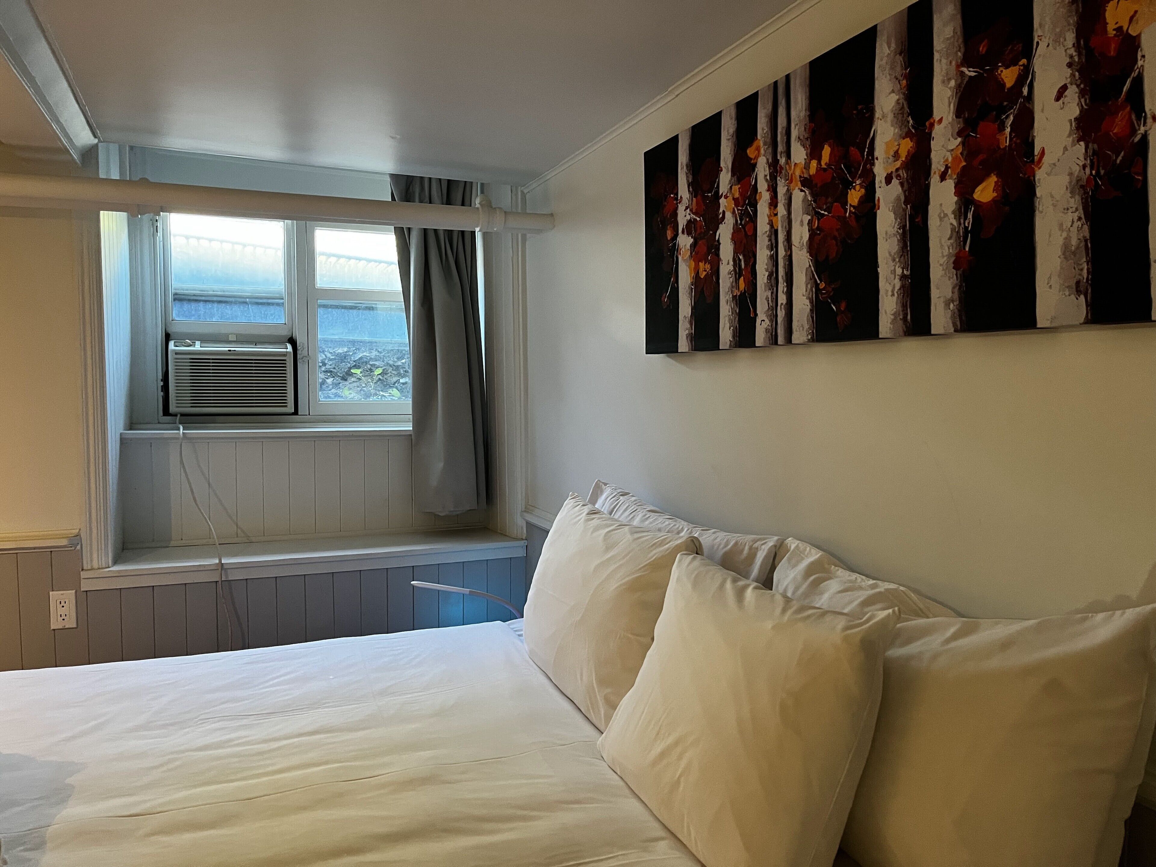 economy room, 1 king bed, non smoking, private bathroom, basement | 1 bedroom, iron/ironing board, free wifi, bed sheets