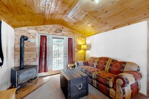 Télévision, cheminée, lecteur de DVD, livres