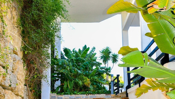 A staircase leading up to a white building with a stone wall on the left.