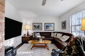 Smart TV, chimenea y libros 