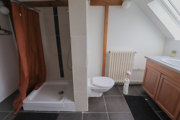 Shower, hair dryer, shampoo, toilet paper