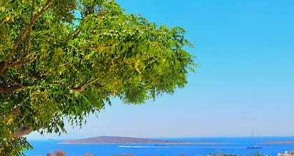 Paros Afrodite Luxury Villas with private pool & spa max 12 persons