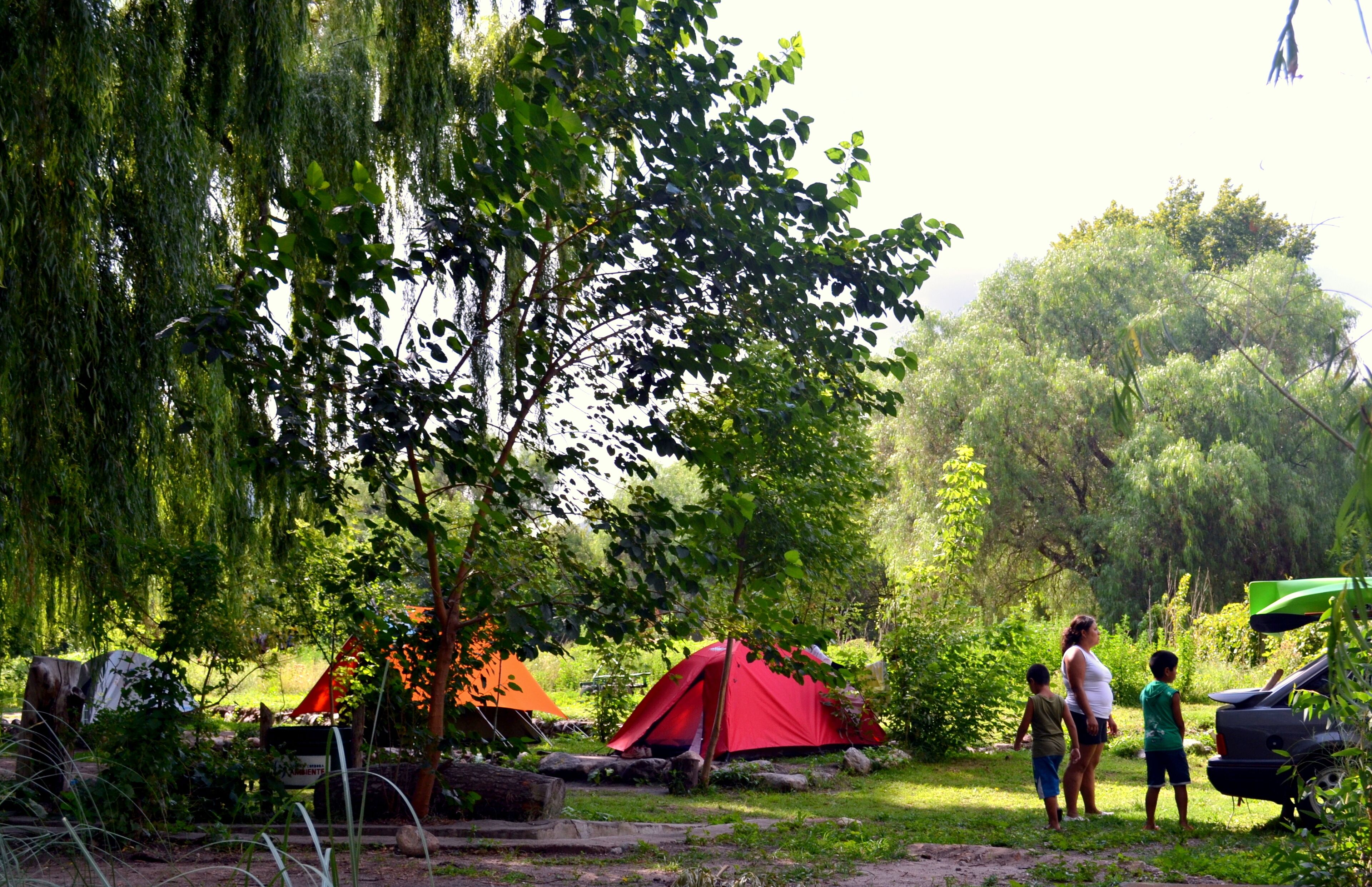 x | Laptop workspace