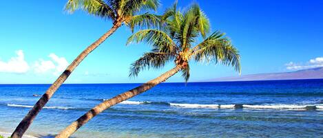 Plage, chaises longues