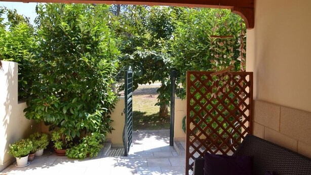 Un patio exterior con una pérgola de madera, plantas en macetas y un panel de celosía.
