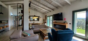 Smart TV, fireplace, books, stereo